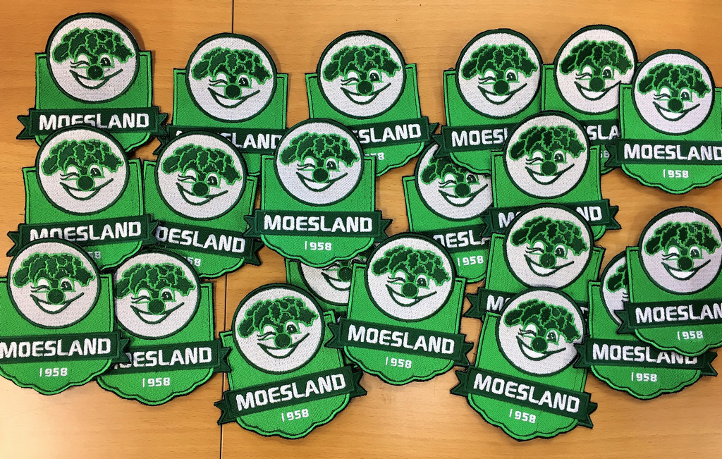 Badges-Moesland